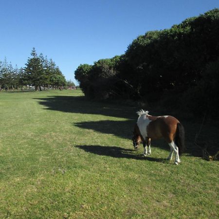 Monday Seaside Cottage Whanganui Εξωτερικό φωτογραφία