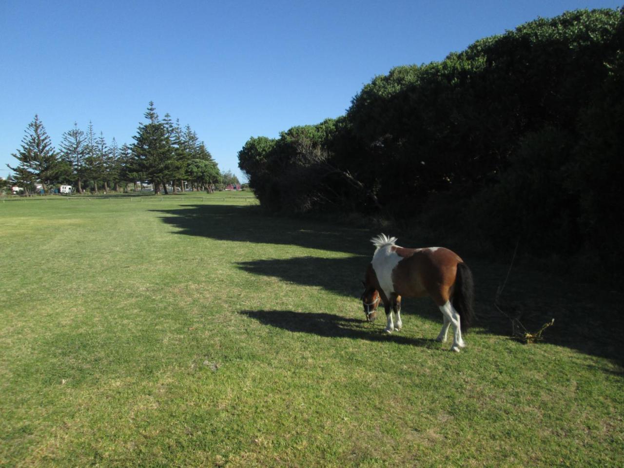 Monday Seaside Cottage Whanganui Εξωτερικό φωτογραφία